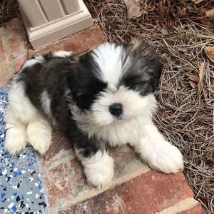 Meet your Posher, Stacy